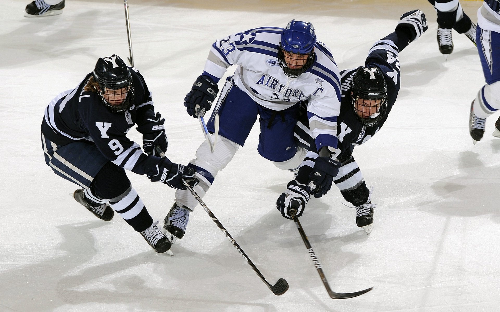 “华金·托比利亚的领导力与团队精神，帮助美洲狮队建立强大战术基础”