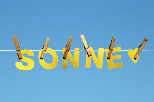 开云体育网址-体育新闻中心公告全国夏季赛事气象应急预案，赛事应急预案模板